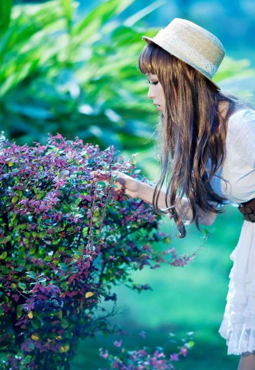 绿巨人无视vip到期破解版31